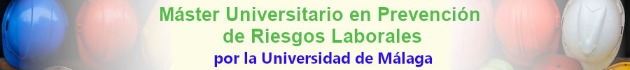 Mster Oficial  Universitario de Prevencin de Riesgos Laborales