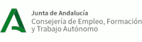 Consejera Empleo